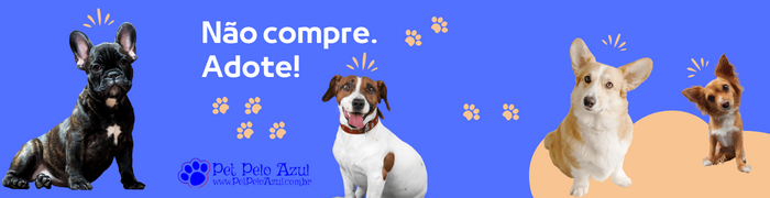 cães do guia definitivo para cães