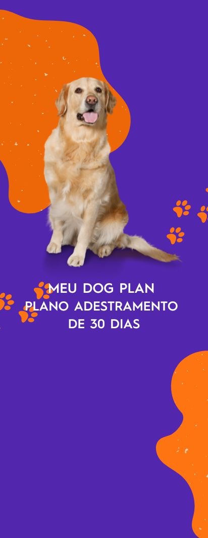 Adestramento Cão